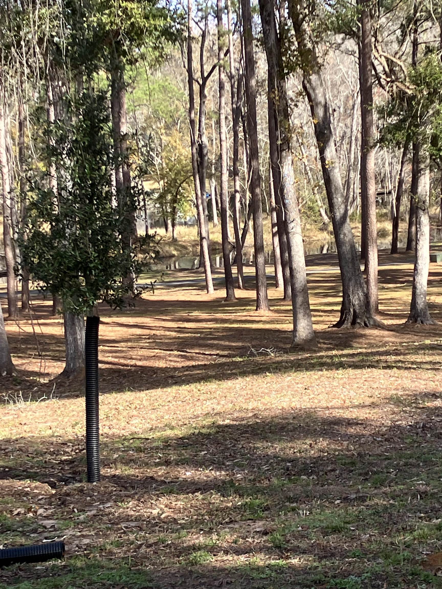 Xxx Two Pond Lane, Tallahassee, Florida image 11