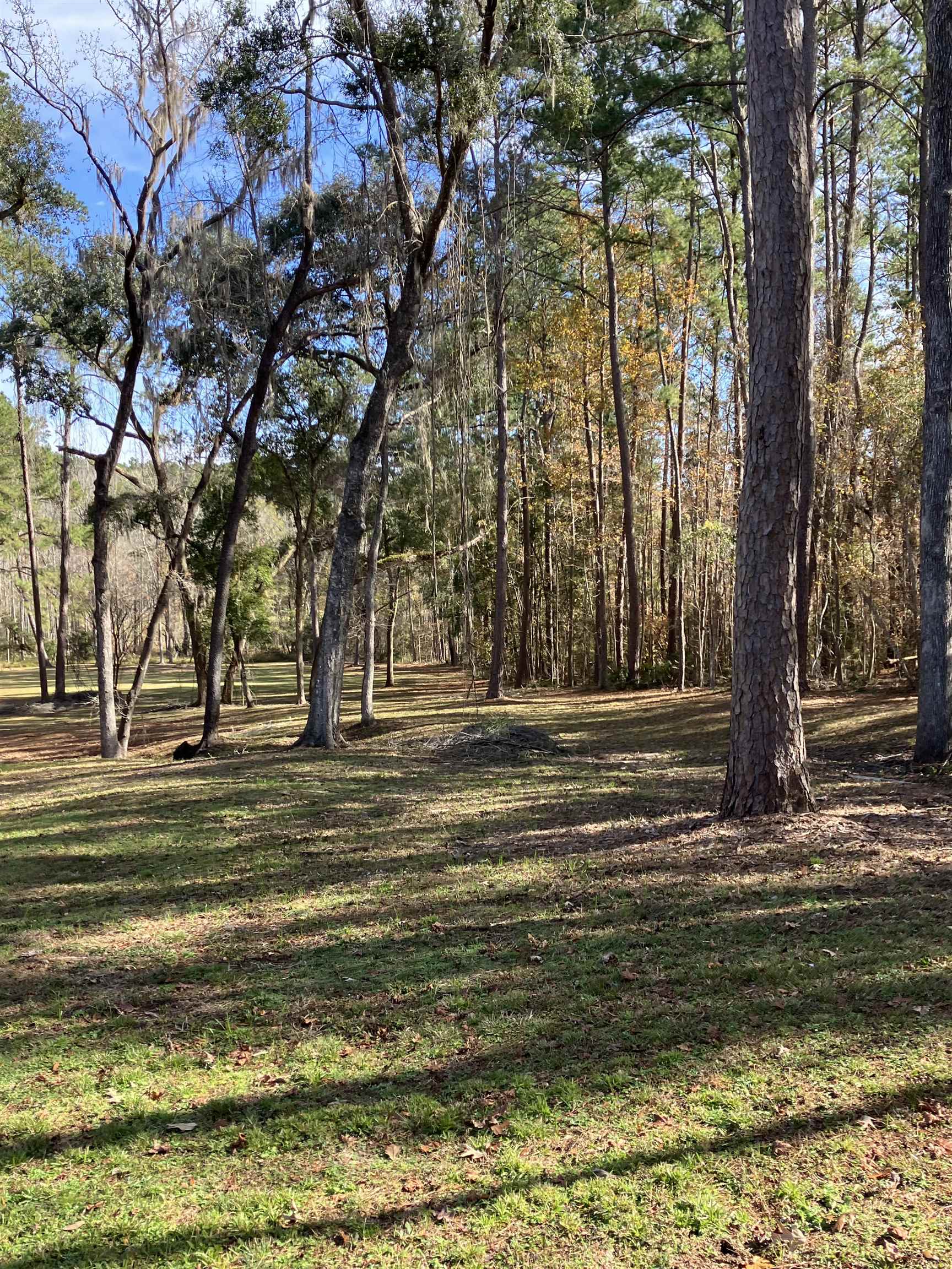 Xxx Two Pond Lane, Tallahassee, Florida image 13