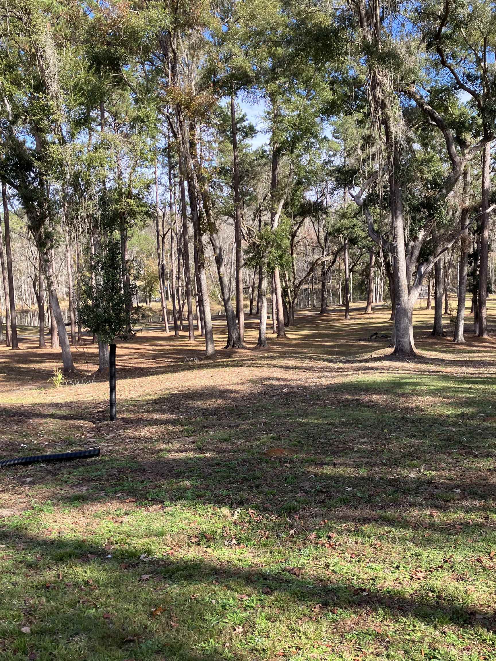Xxx Two Pond Lane, Tallahassee, Florida image 15