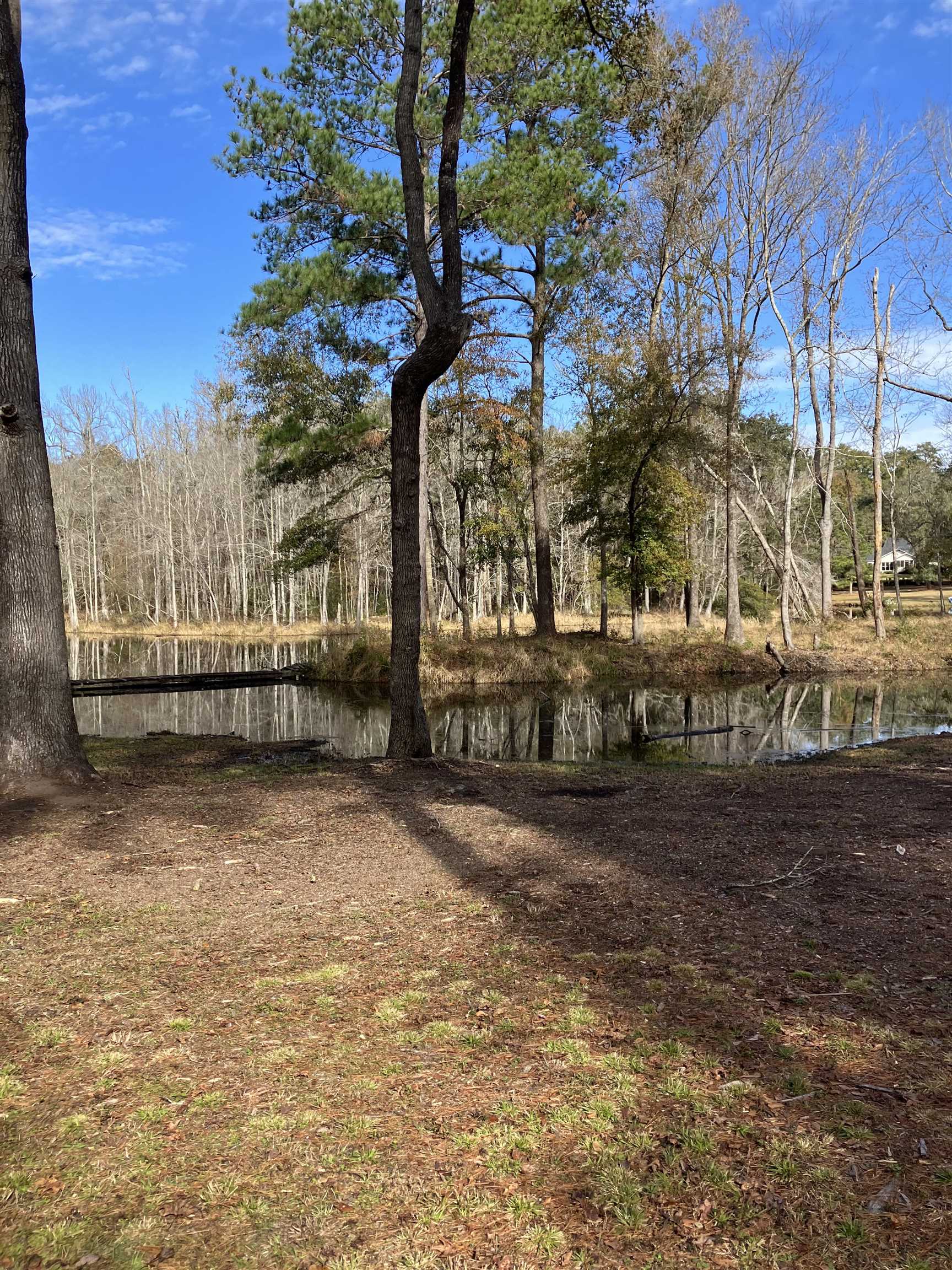 Xxx Two Pond Lane, Tallahassee, Florida image 2