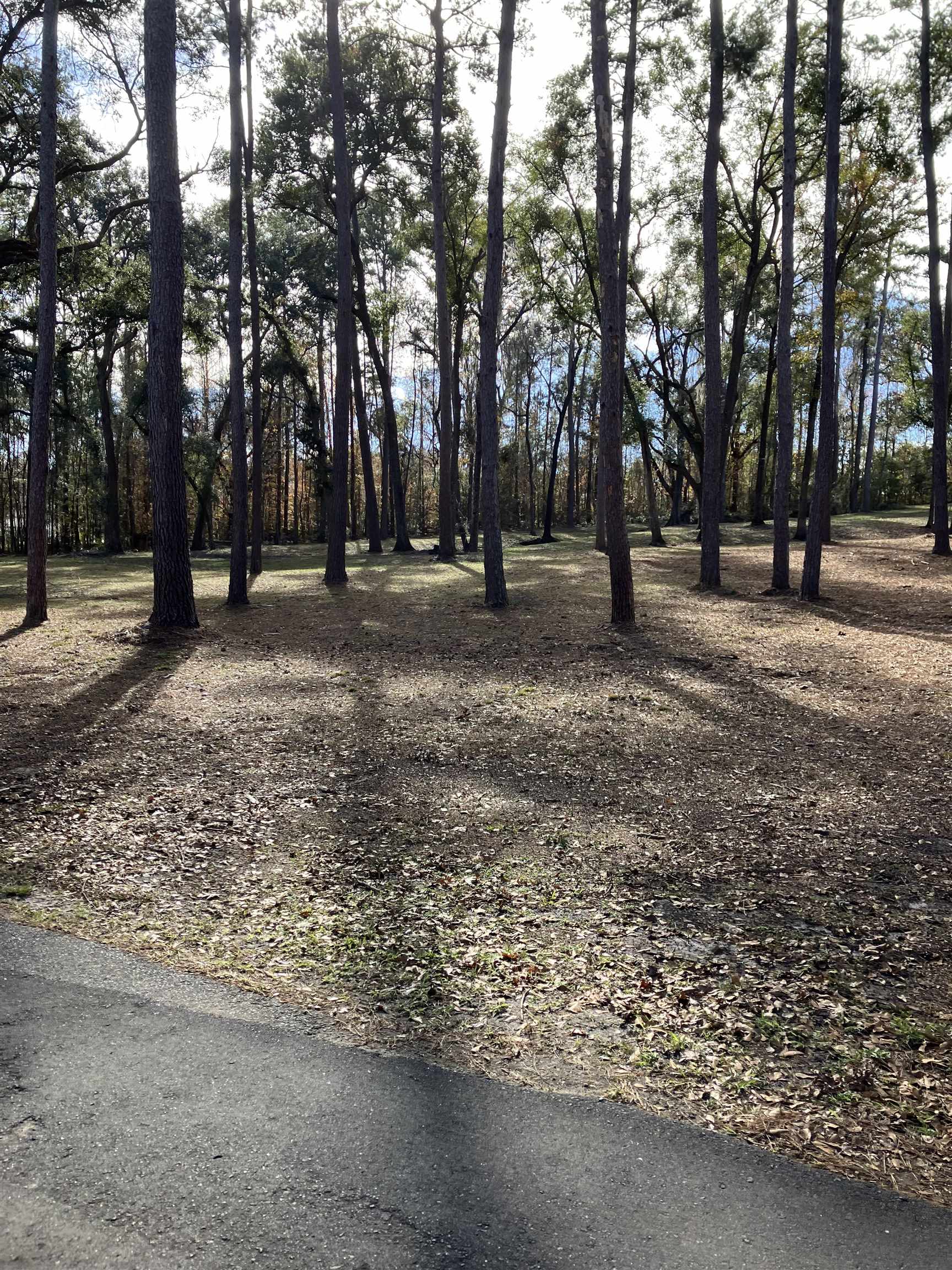 Xxx Two Pond Lane, Tallahassee, Florida image 4