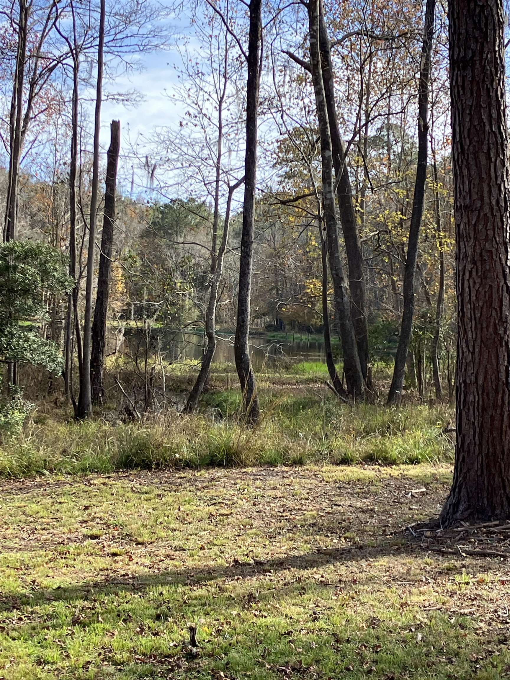 Xxx Two Pond Lane, Tallahassee, Florida image 5