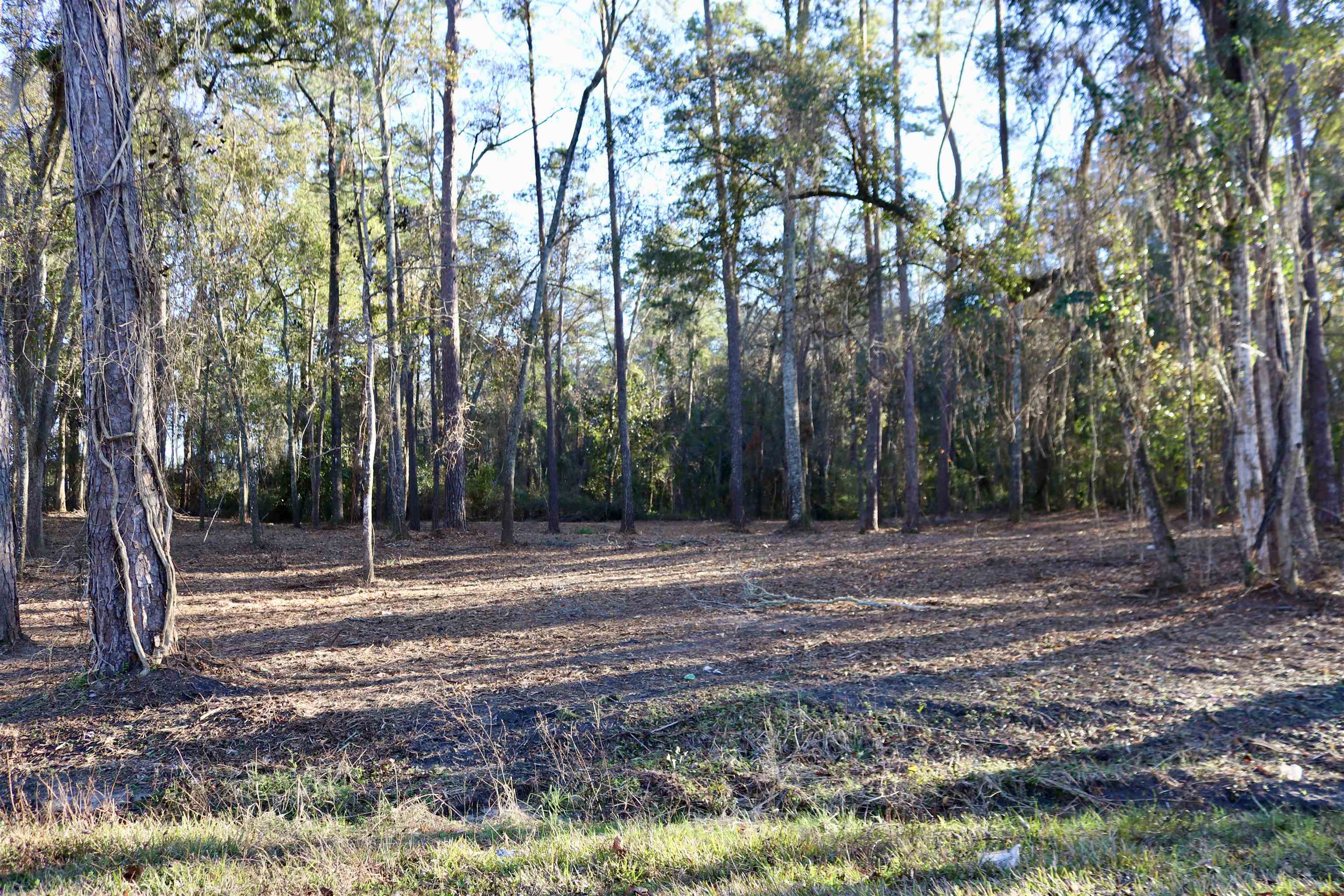 XX Shiver Road, Monticello, Florida image 10