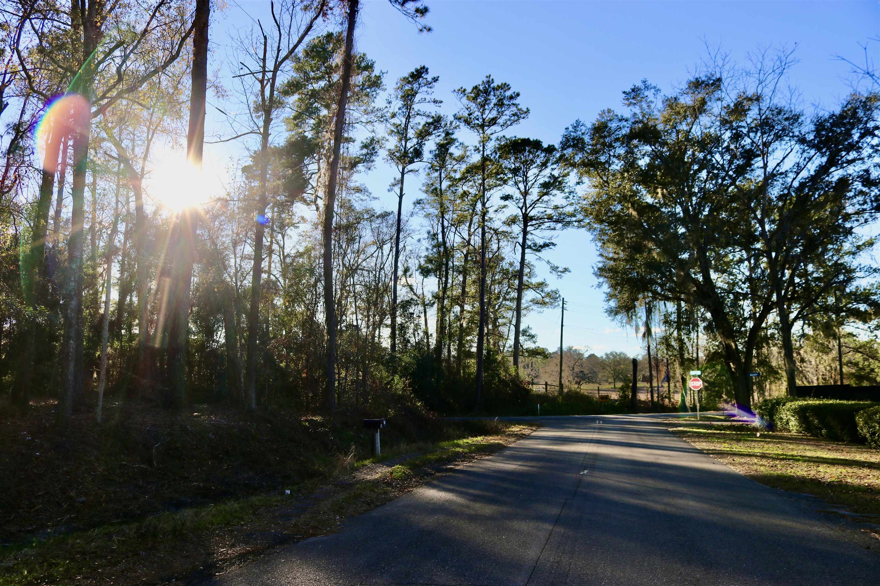 XX Shiver Road, Monticello, Florida image 8