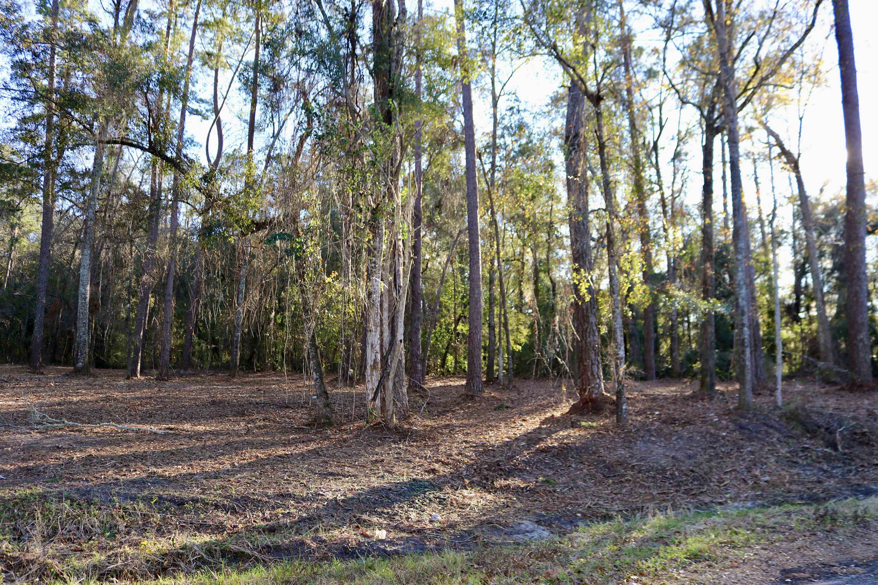 XX Shiver Road, Monticello, Florida image 9