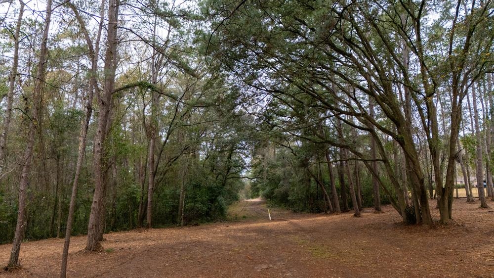 James Duhard Way, Tallahassee, Florida image 11