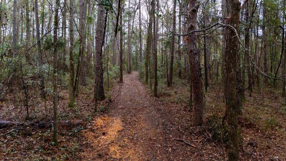 James Duhard Way, Tallahassee, Florida image 22