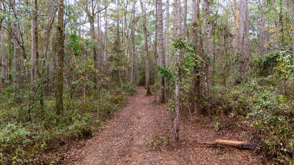 James Duhard Way, Tallahassee, Florida image 24