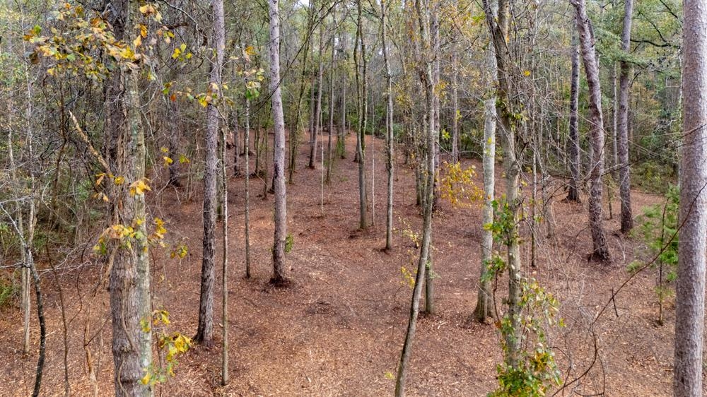 James Duhard Way, Tallahassee, Florida image 32