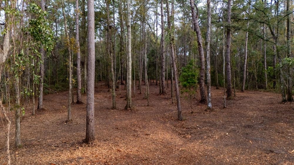 James Duhard Way, Tallahassee, Florida image 36