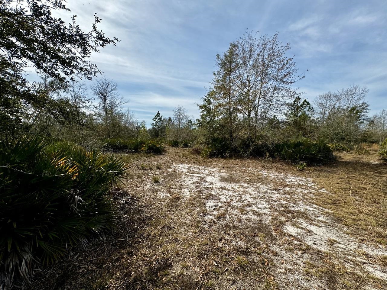 Vacant 62 Road, Lamont, Florida image 10