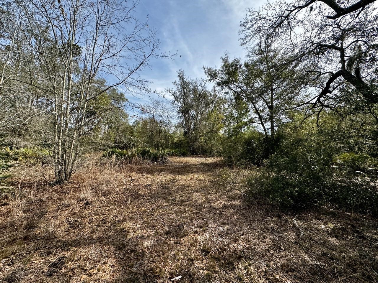 Vacant 62 Road, Lamont, Florida image 11