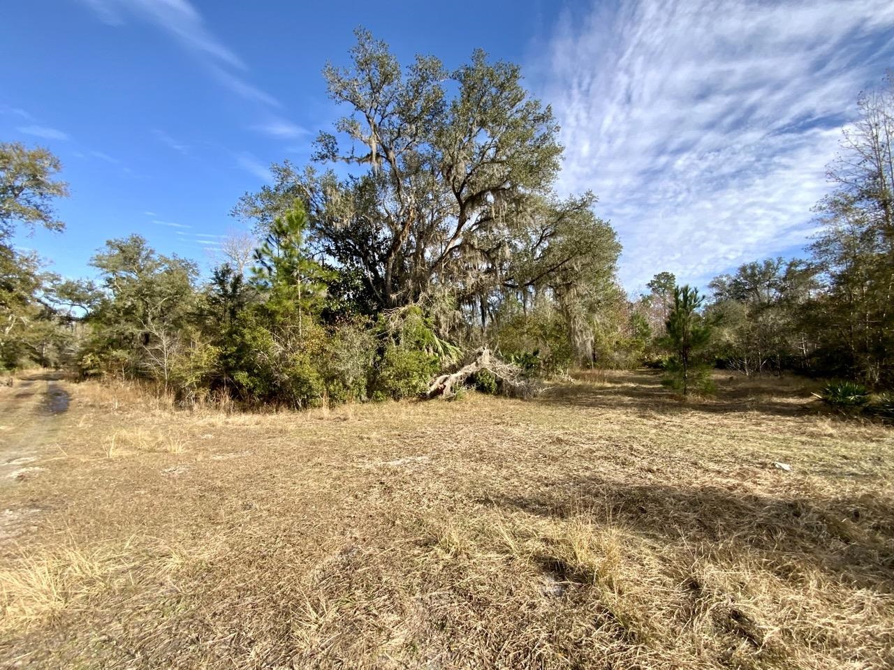 Vacant 62 Road, Lamont, Florida image 21