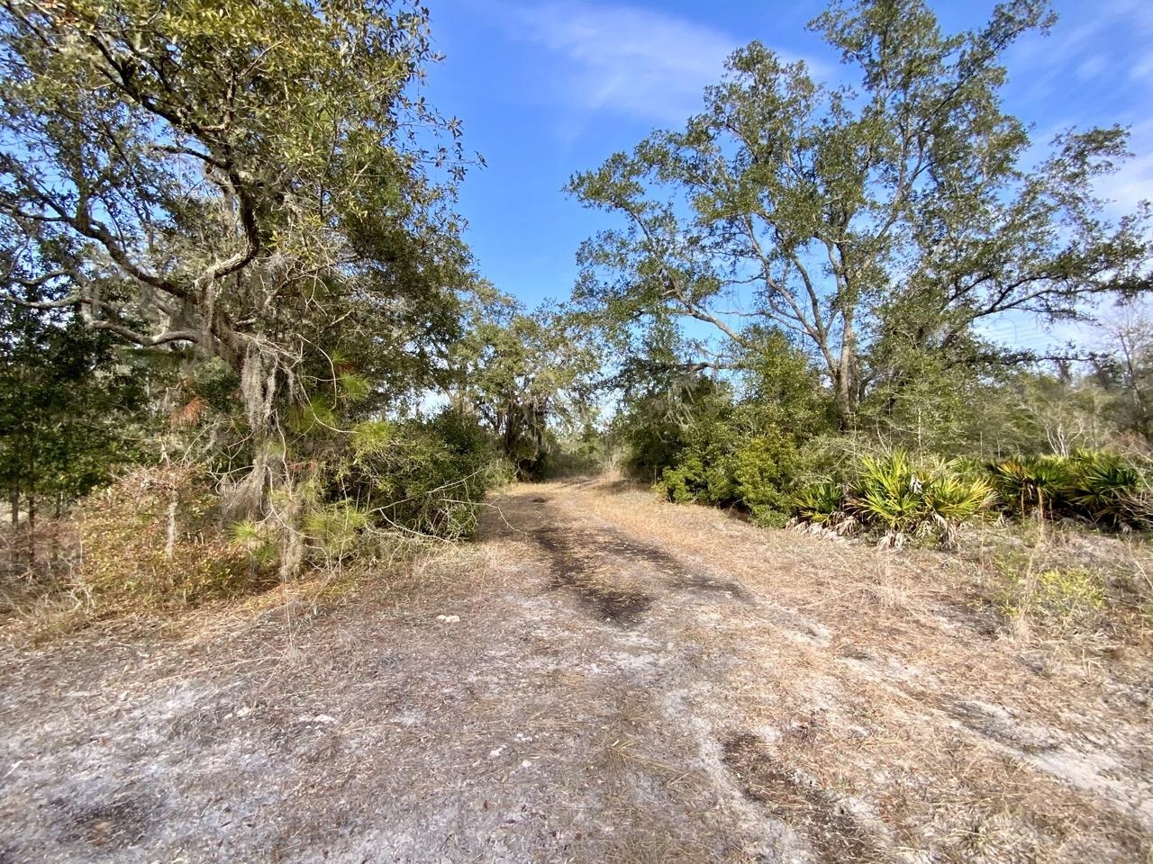 Vacant 62 Road, Lamont, Florida image 23