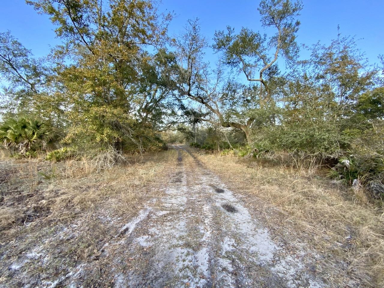 Vacant 62 Road, Lamont, Florida image 26