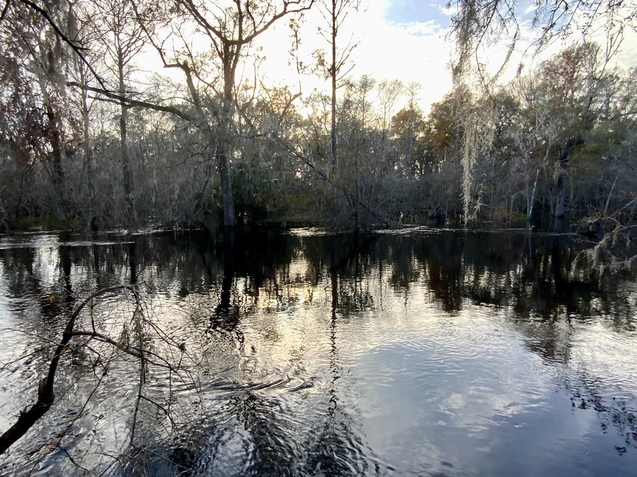 Vacant 62 Road, Lamont, Florida image 28