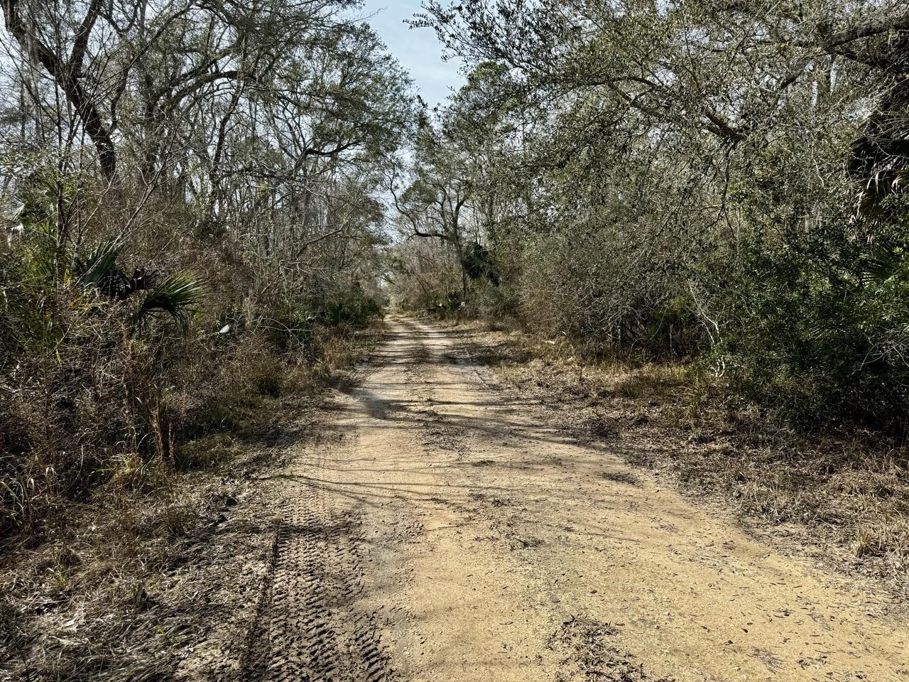 Vacant 62 Road, Lamont, Florida image 3