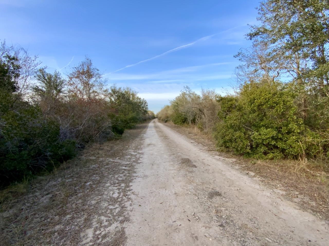 Vacant 62 Road, Lamont, Florida image 30