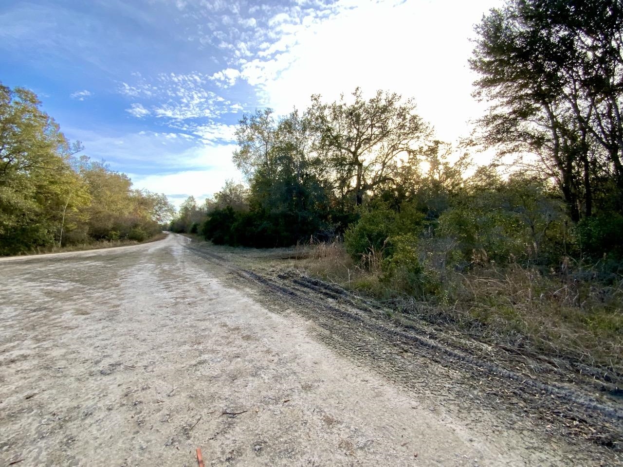 Vacant 62 Road, Lamont, Florida image 31