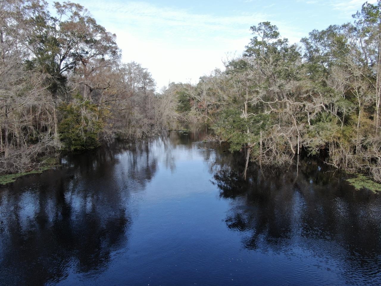 Vacant 62 Road, Lamont, Florida image 32