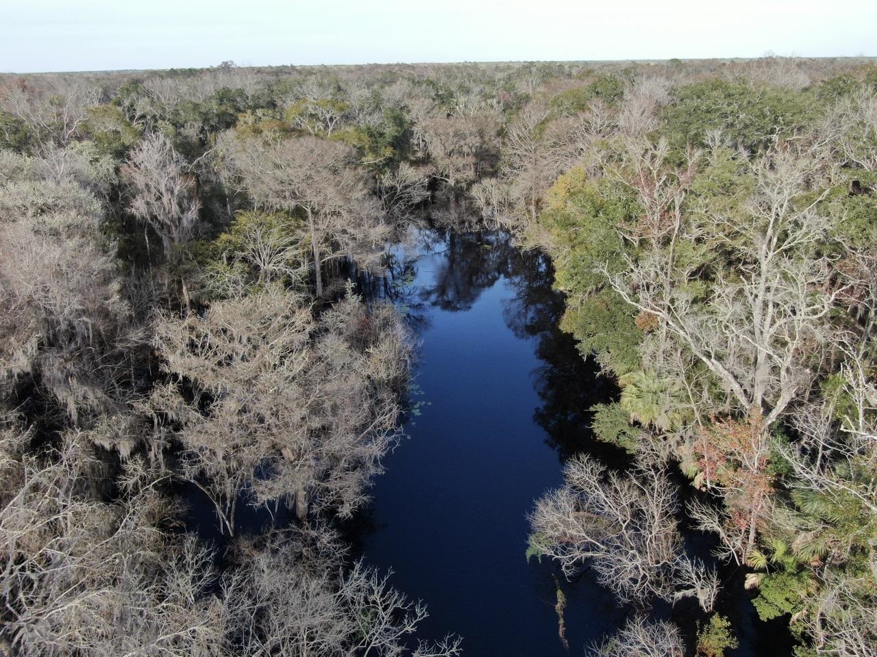 Vacant 62 Road, Lamont, Florida image 33