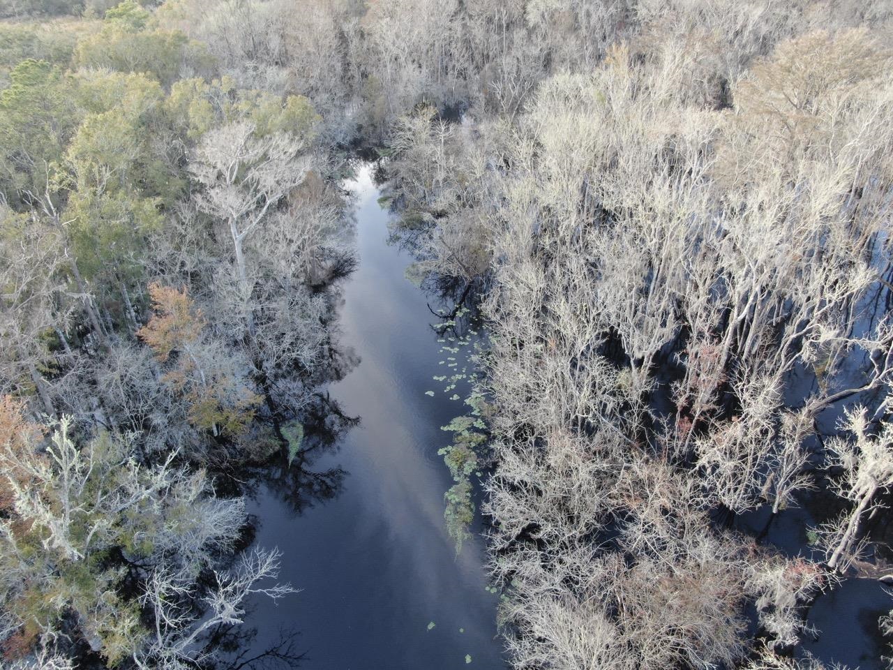 Vacant 62 Road, Lamont, Florida image 34