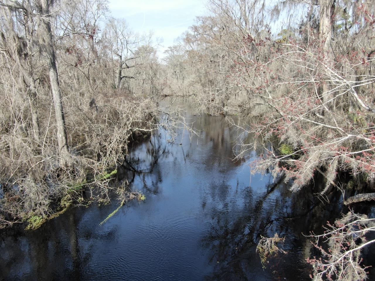 Vacant 62 Road, Lamont, Florida image 35