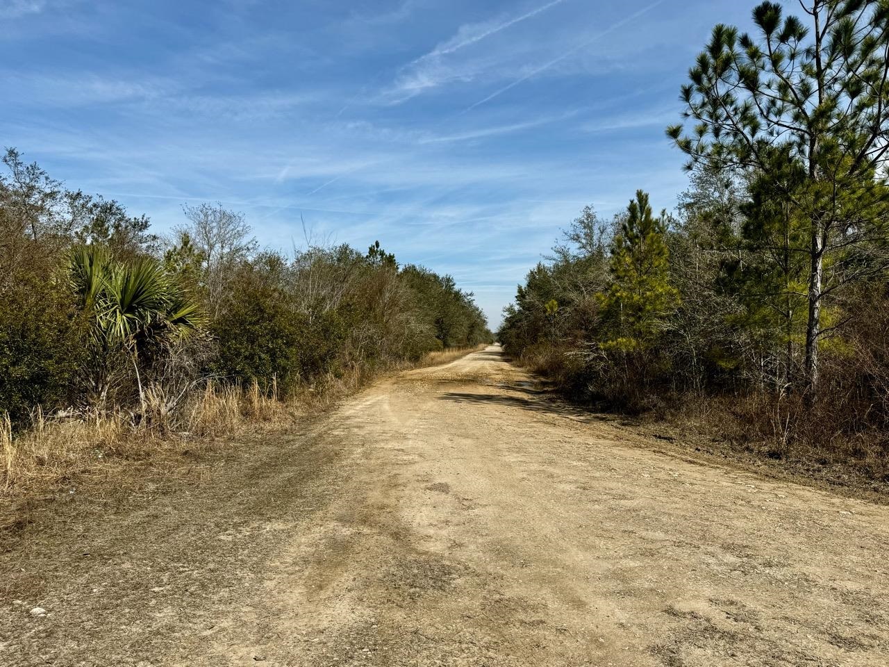 Vacant 62 Road, Lamont, Florida image 36