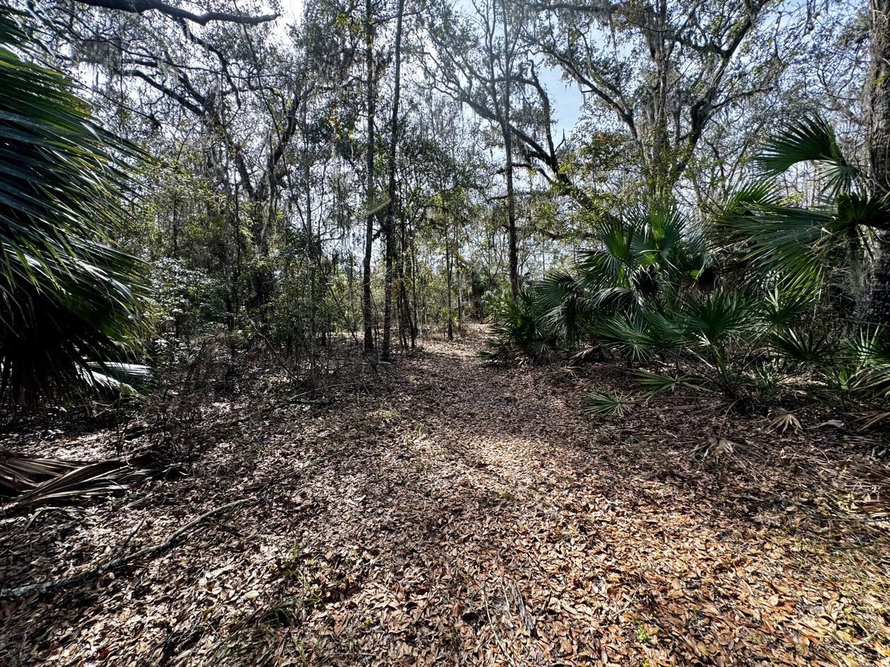 Vacant 62 Road, Lamont, Florida image 39