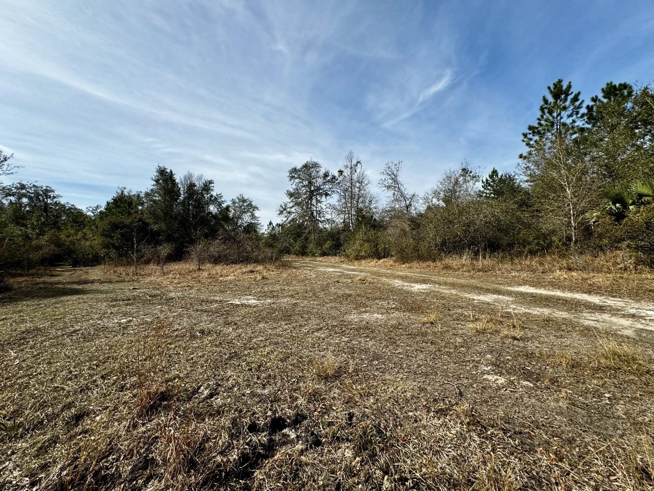 Vacant 62 Road, Lamont, Florida image 4