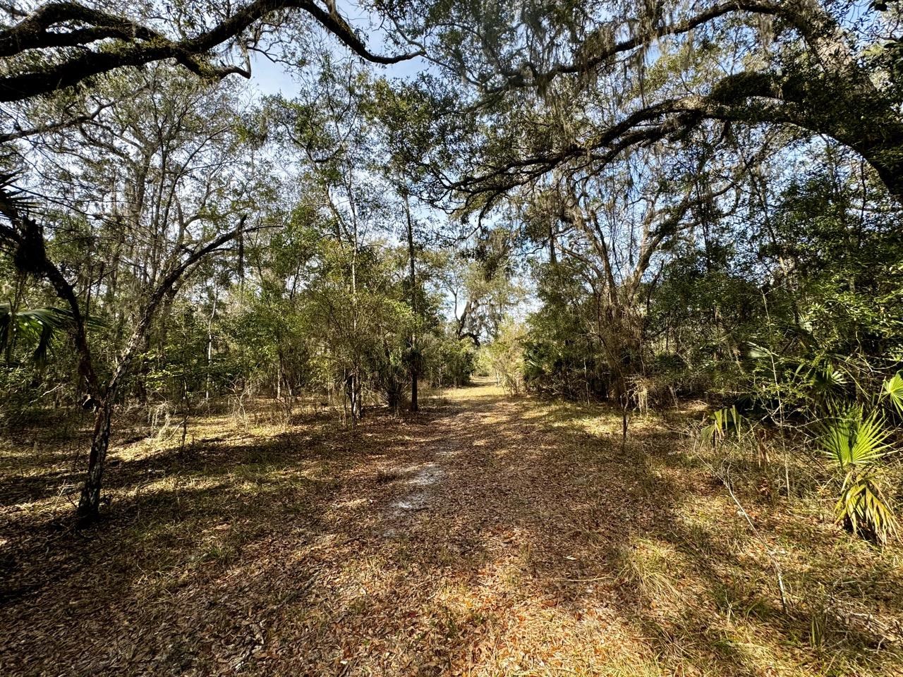 Vacant 62 Road, Lamont, Florida image 41