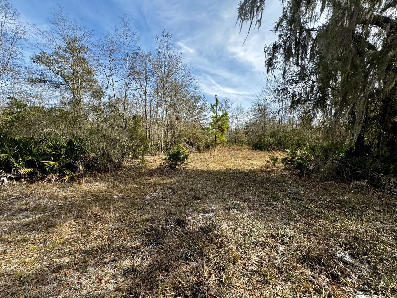 Vacant 62 Road, Lamont, Florida image 42