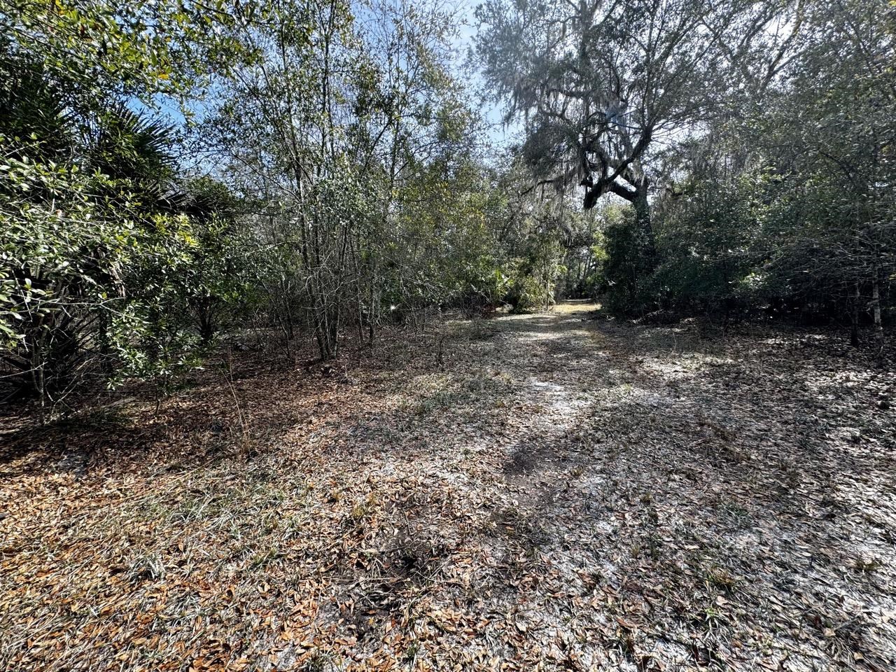 Vacant 62 Road, Lamont, Florida image 8