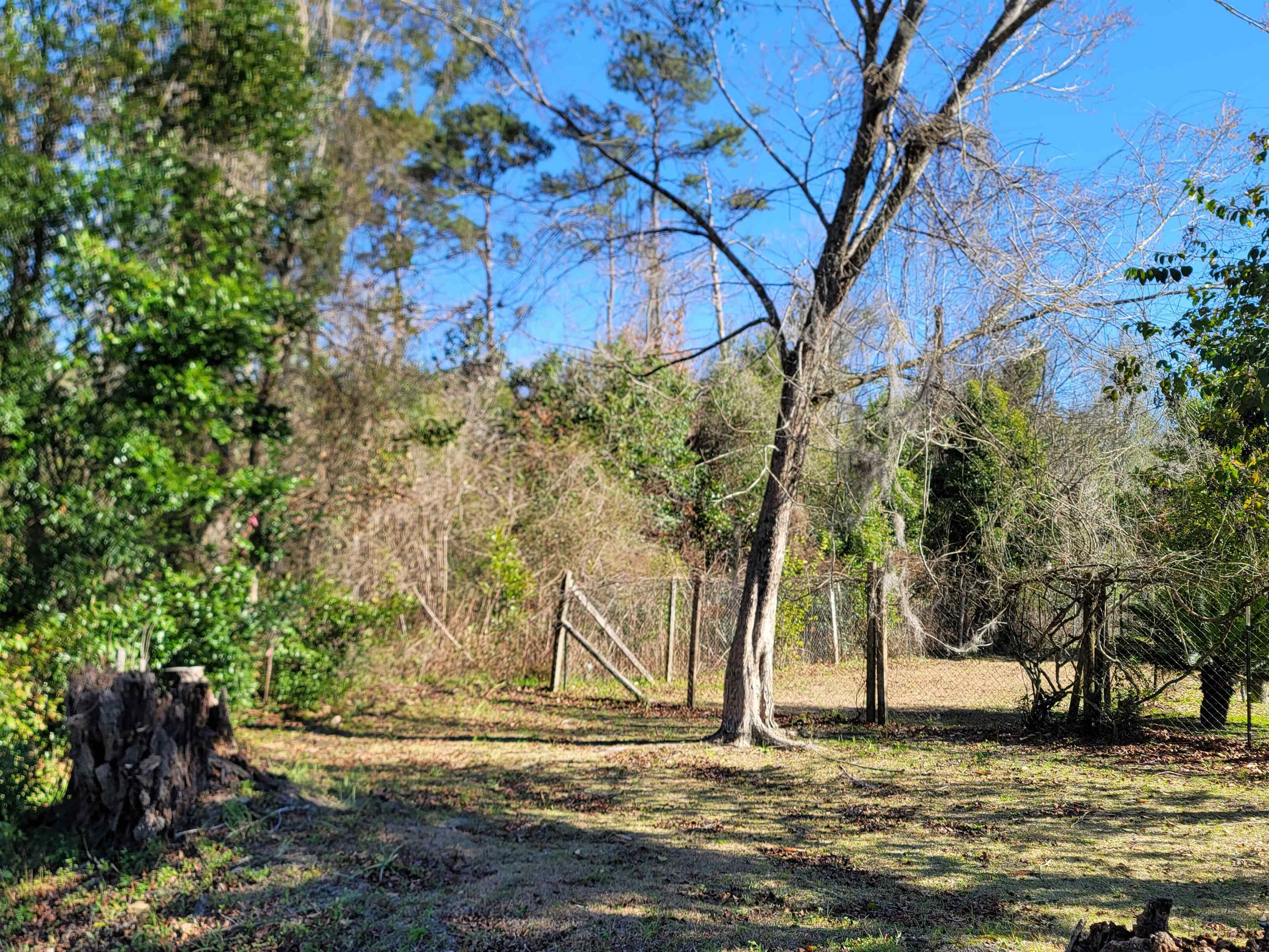 1.5 Ac A & N Road #--, CHATTAHOOCHEE, Florida image 8