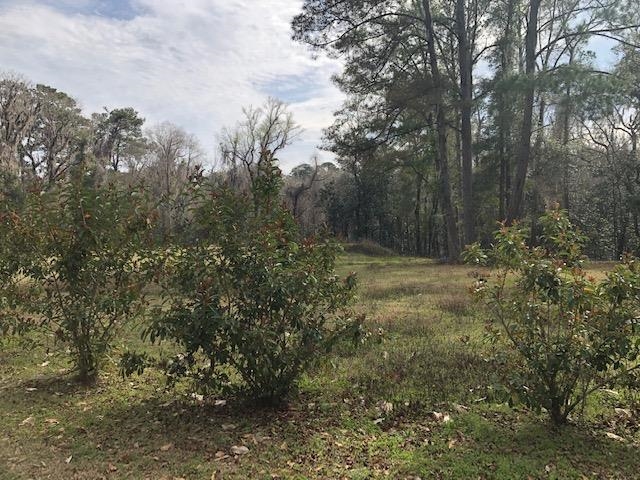 Lot 16 Bellac Road, Tallahassee, Florida image 5