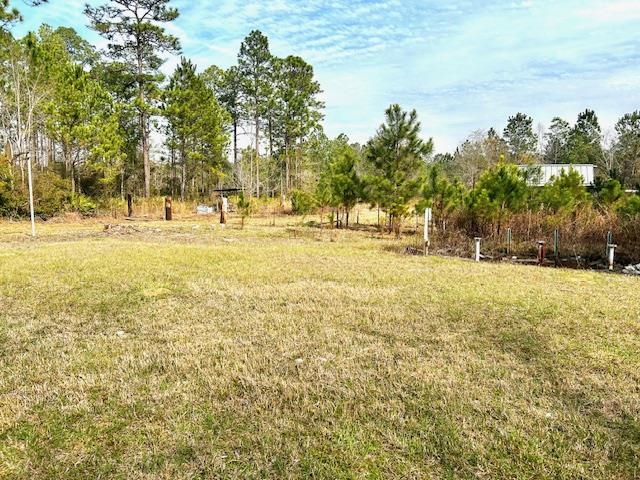 3671 Ben Stoutamire Road, Tallahassee, Florida image 20