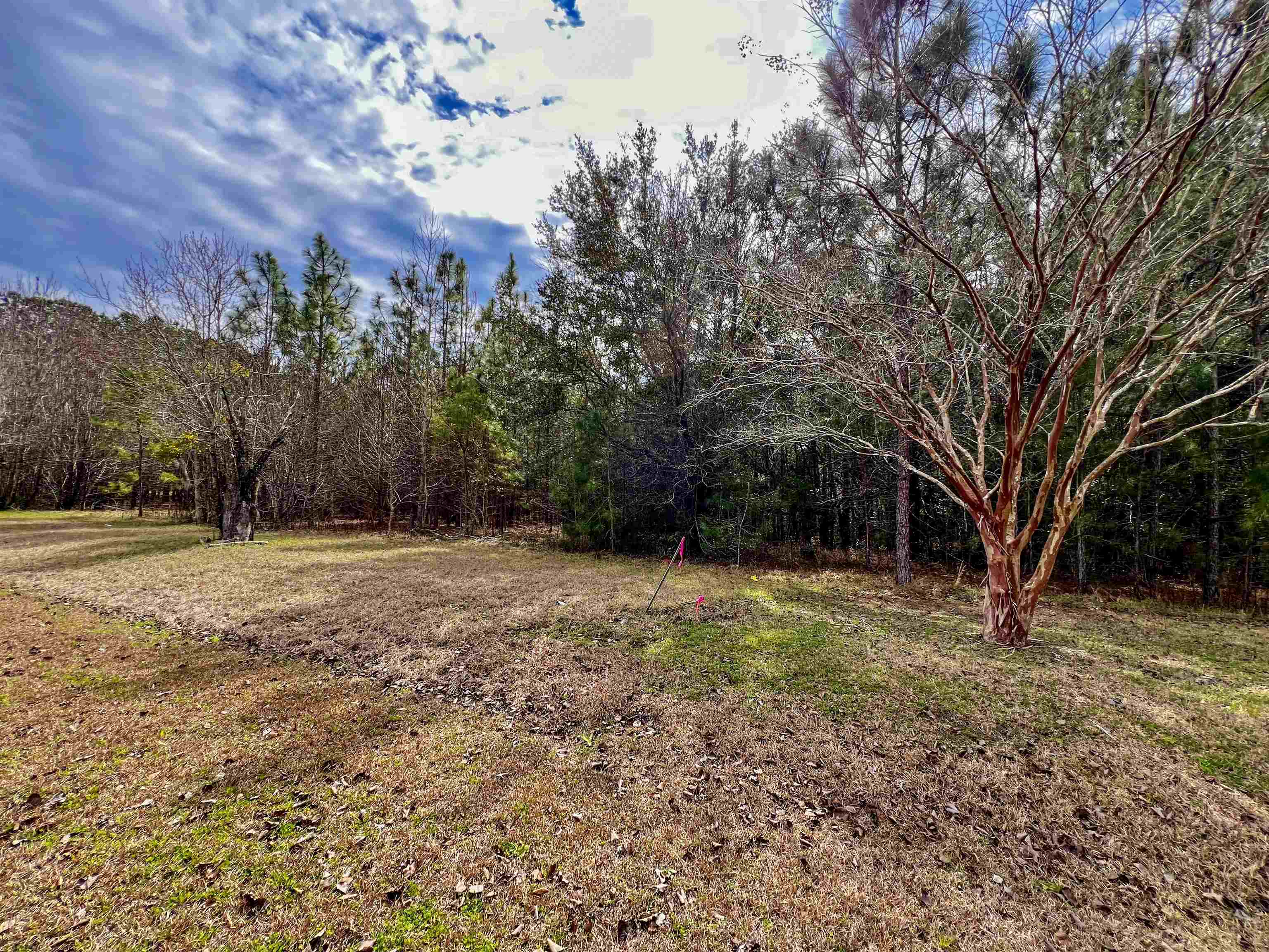 XOX Lot 4 Solomon Dairy Road, Quincy, Florida image 2