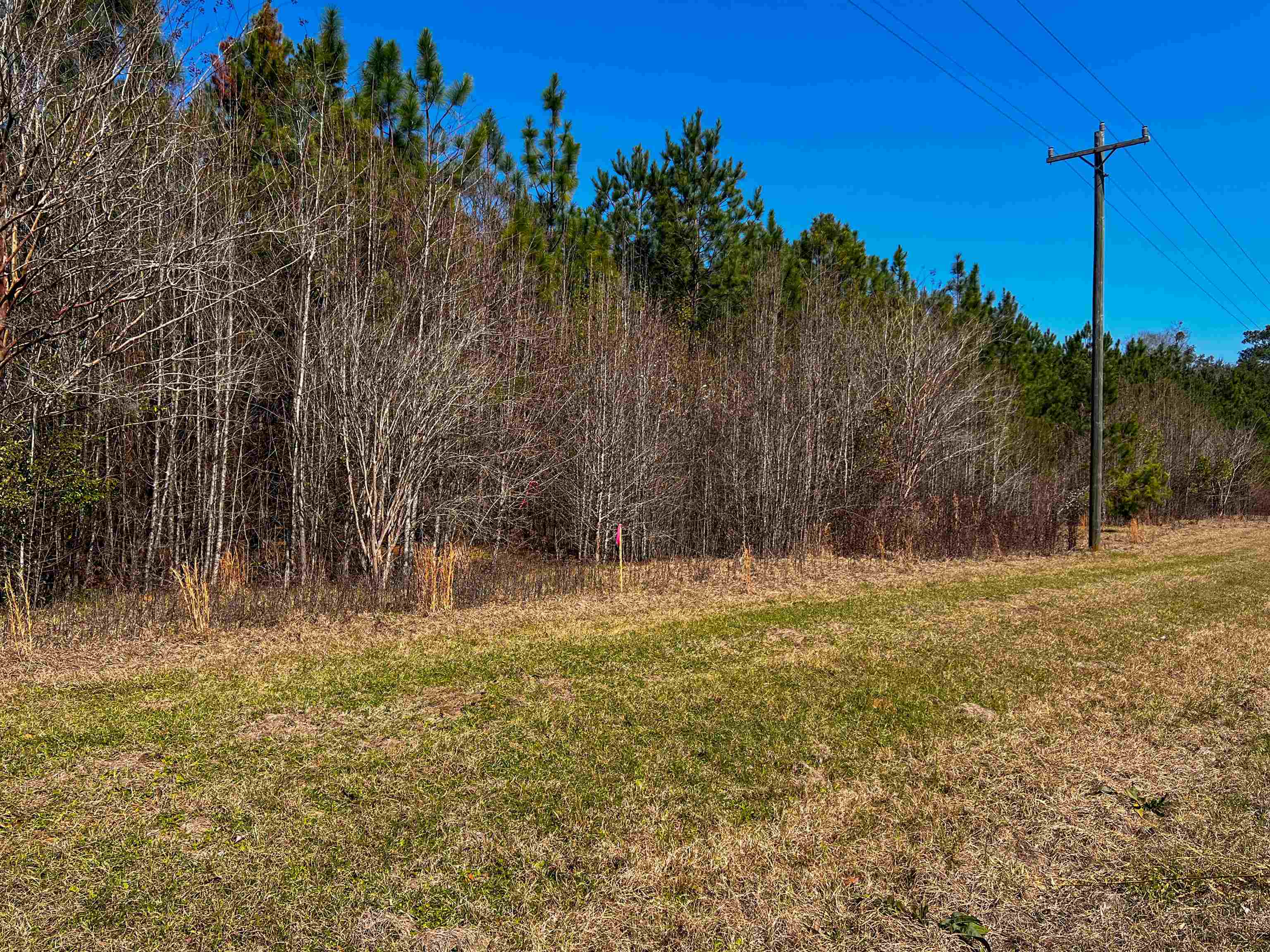 XOX Lot 2 Solomon Dairy Road, Quincy, Florida image 1