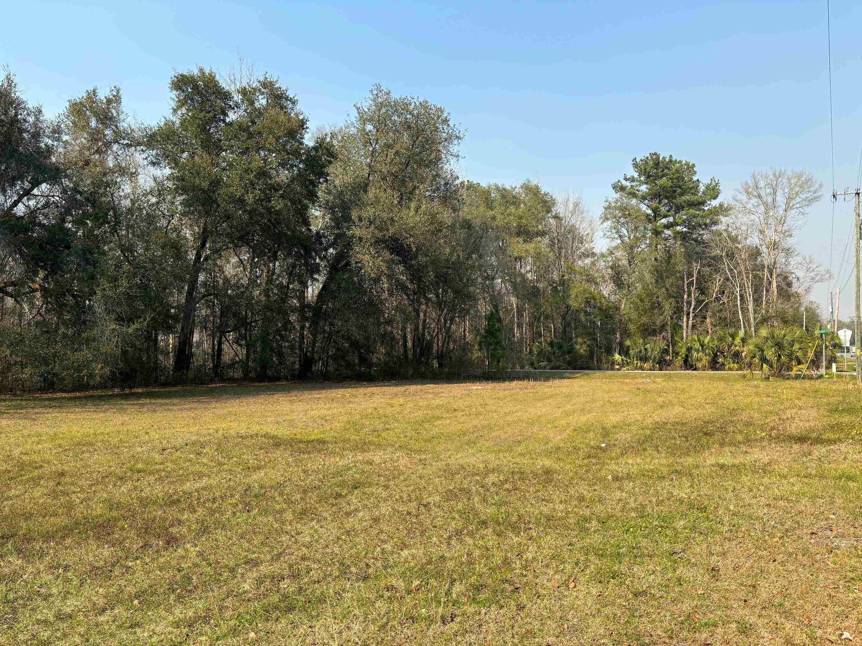 17673 NE State Road 65, Hosford, Florida image 1