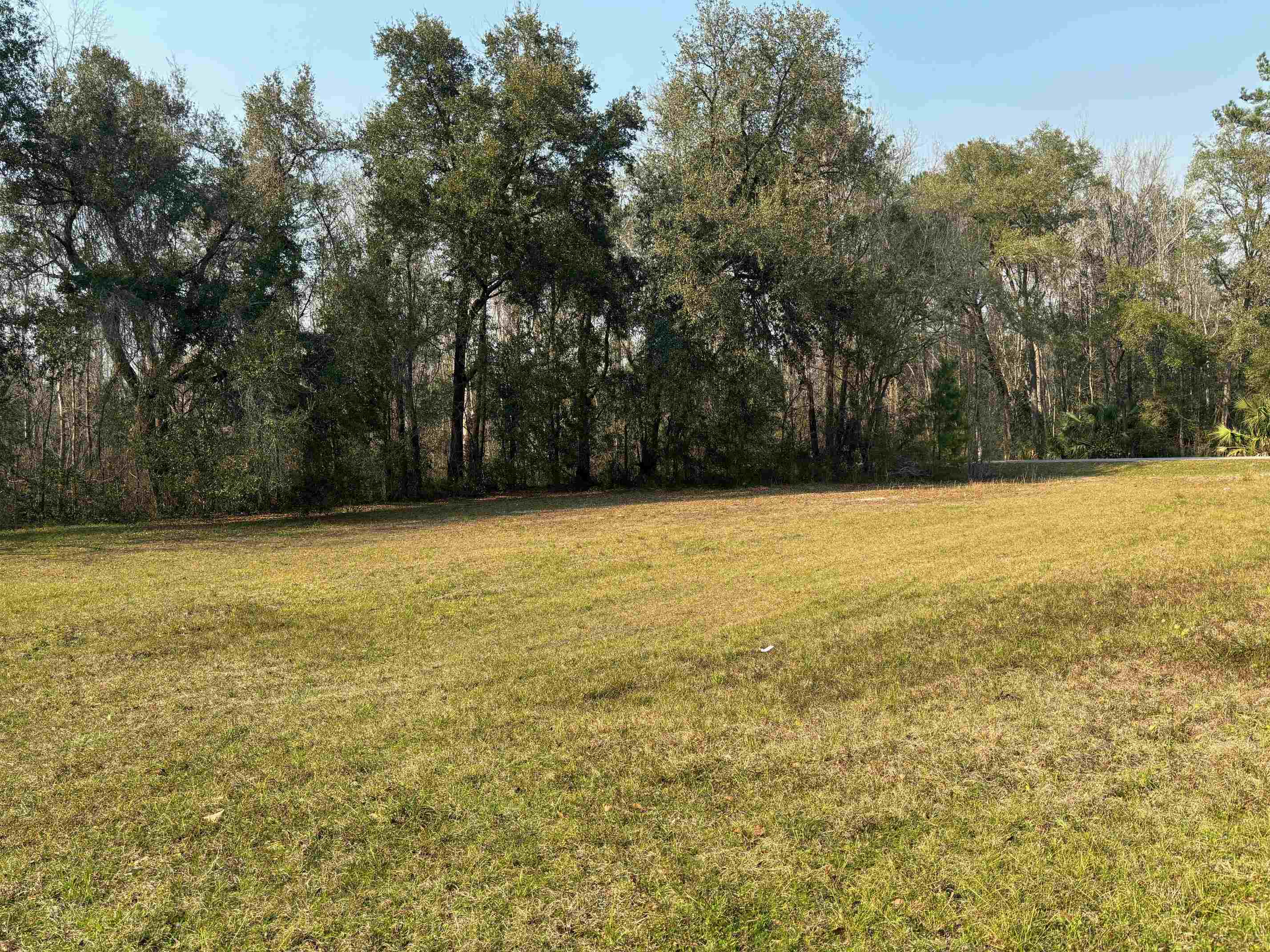 17673 NE State Road 65, Hosford, Florida image 3