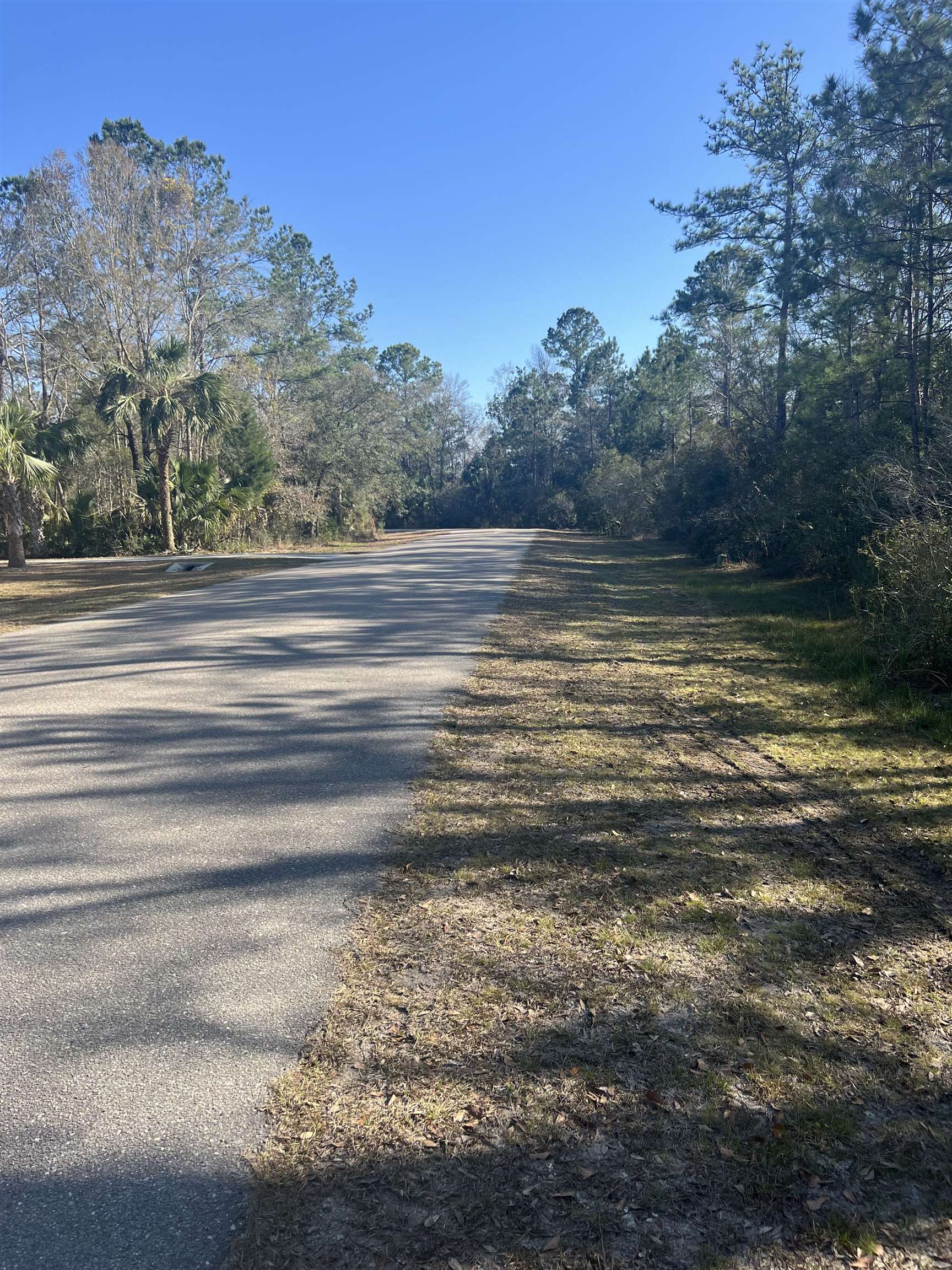 XX Burnt Pine Loop, St Marks, Florida image 7