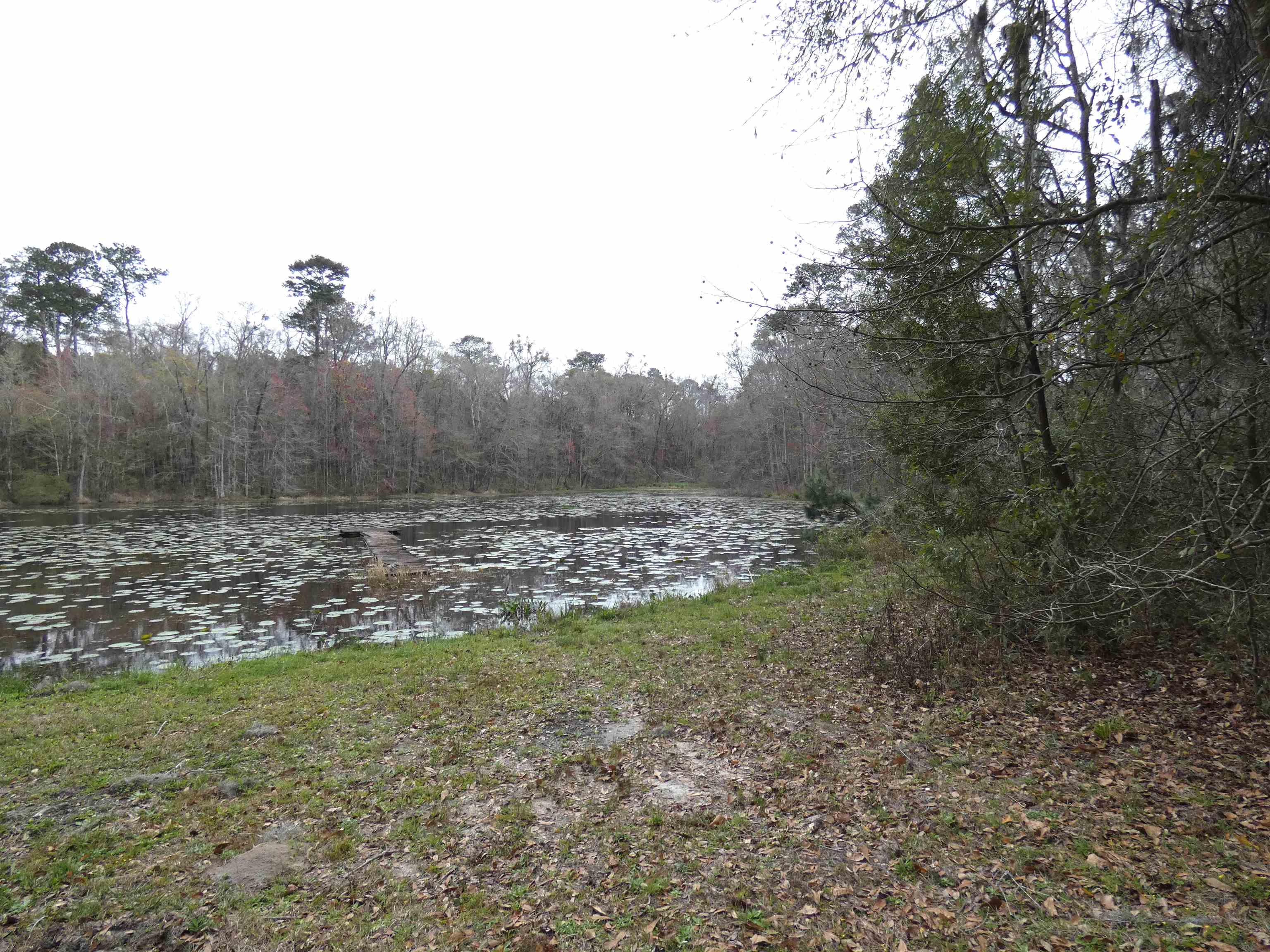 TBD Rainey Run, Monticello, Florida image 15