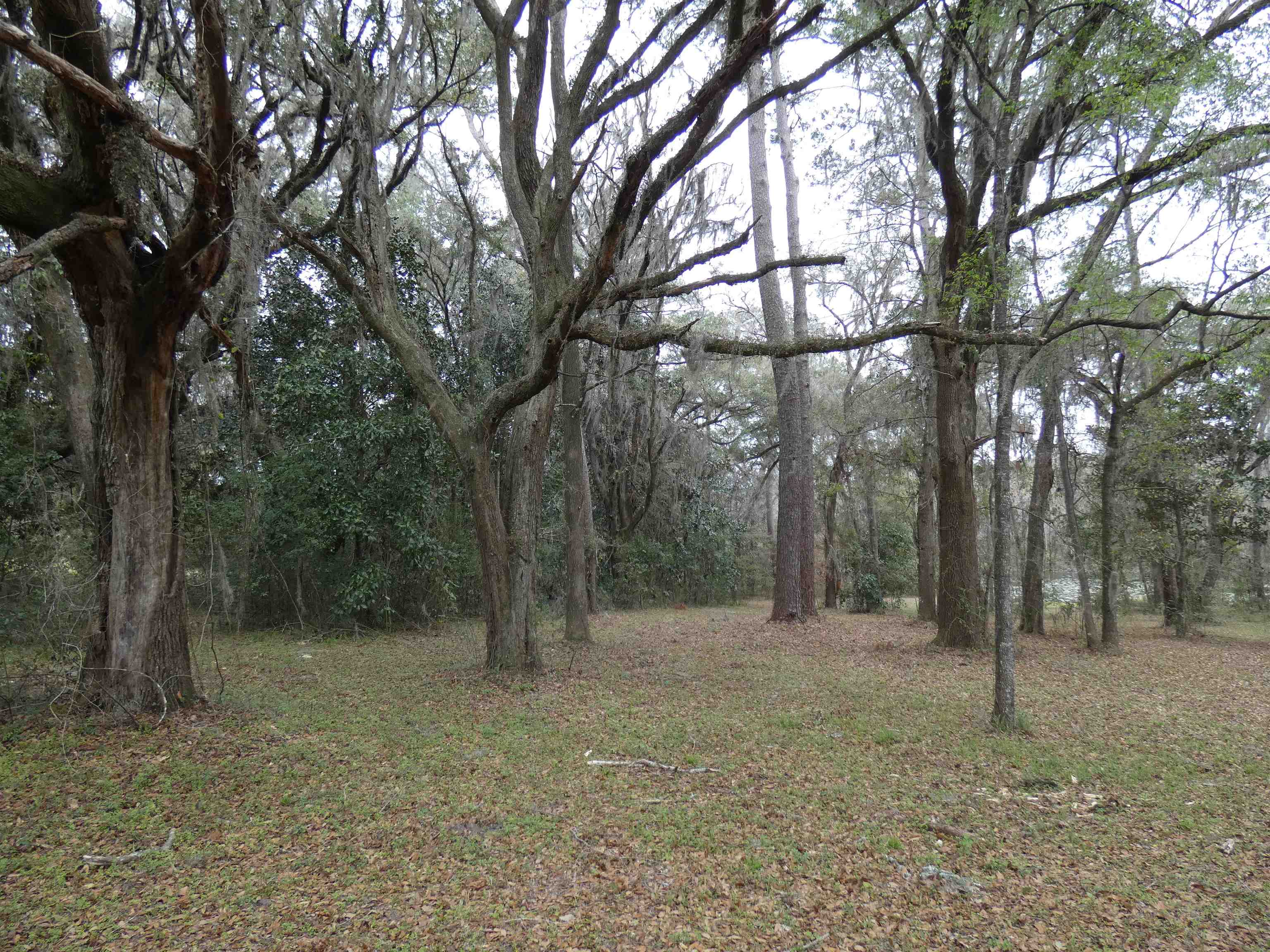 TBD Rainey Run, Monticello, Florida image 18