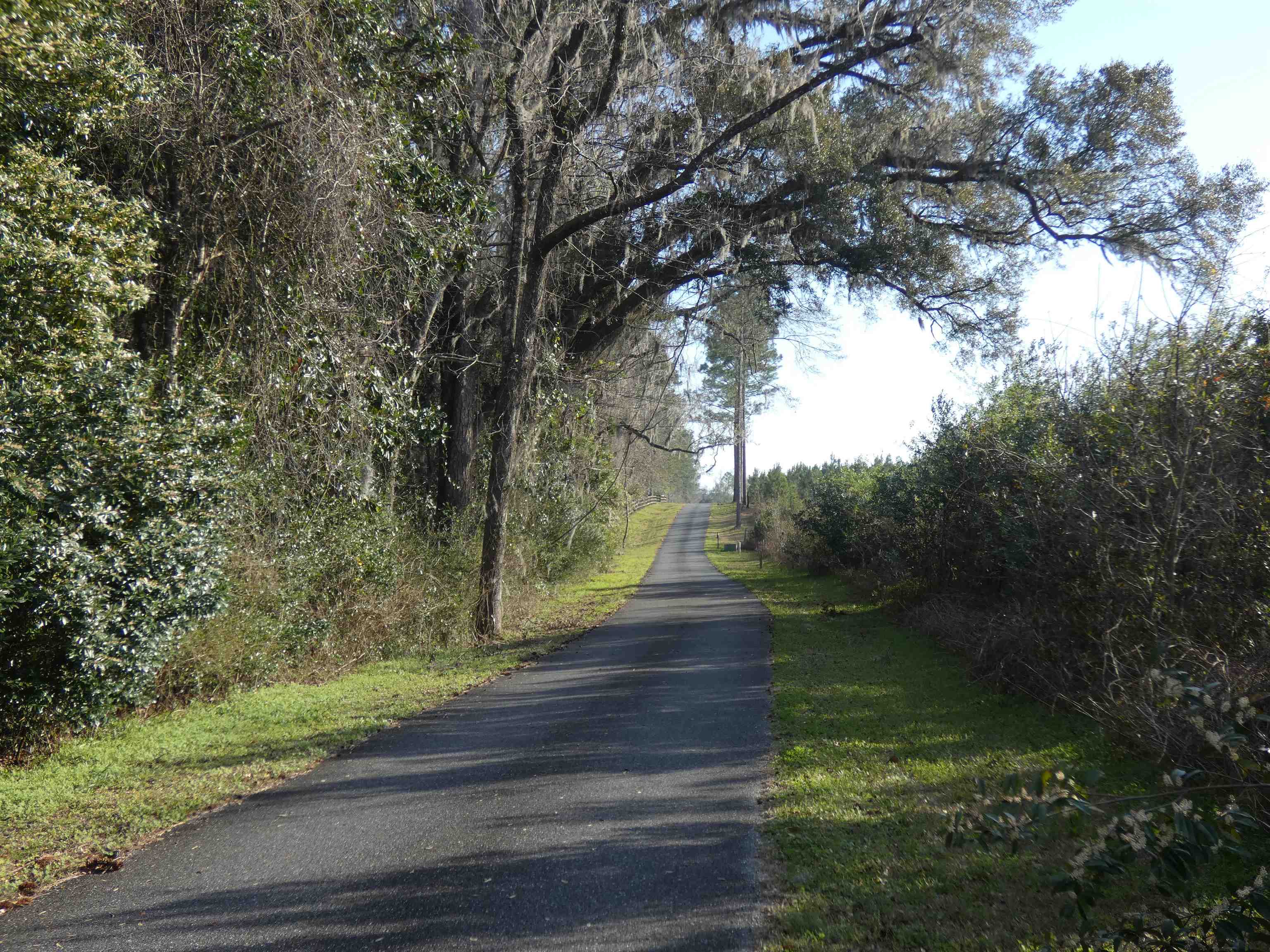 TBD Rainey Run, Monticello, Florida image 3