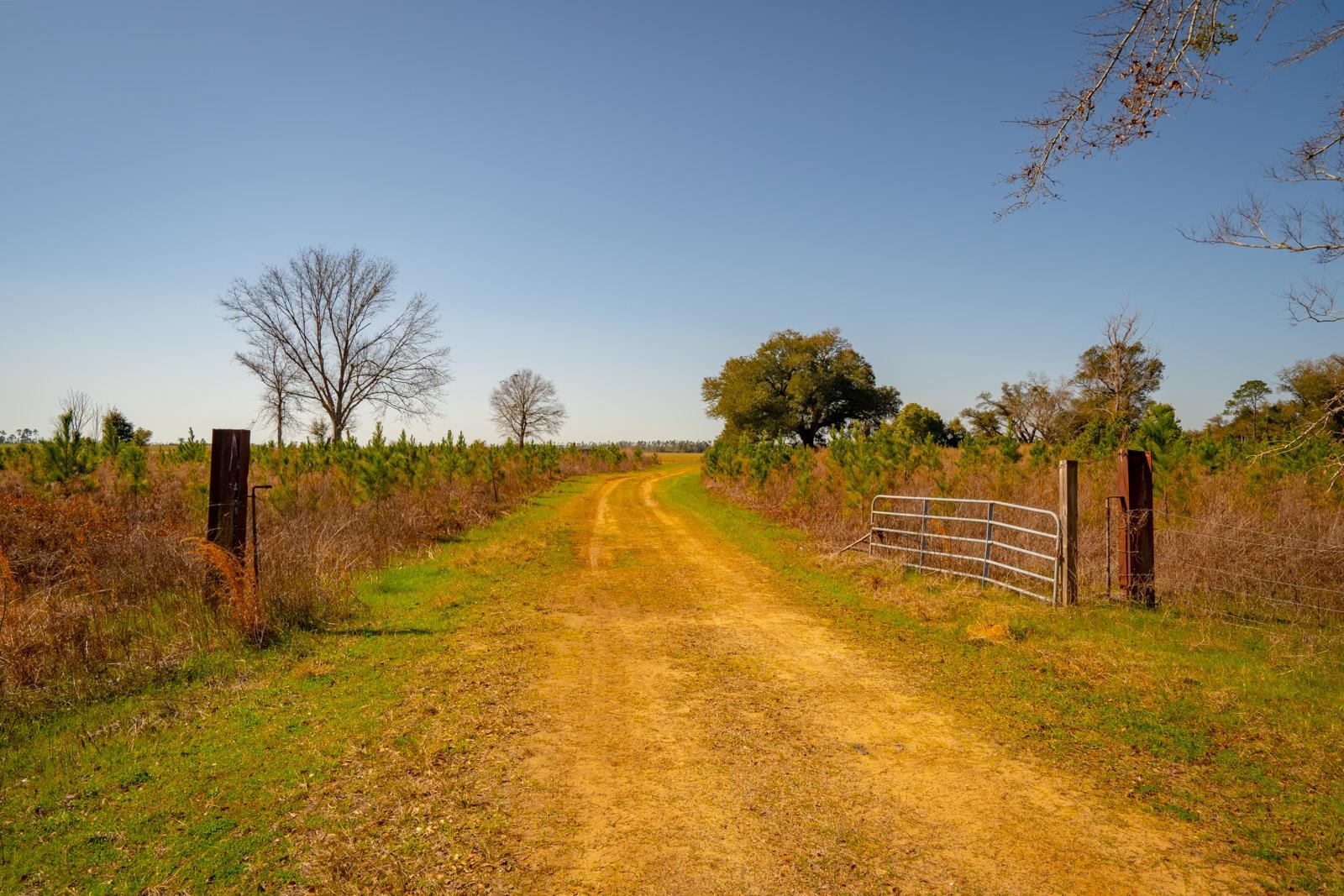 XXXX Rocky Creek Road, Marianna, Florida image 10