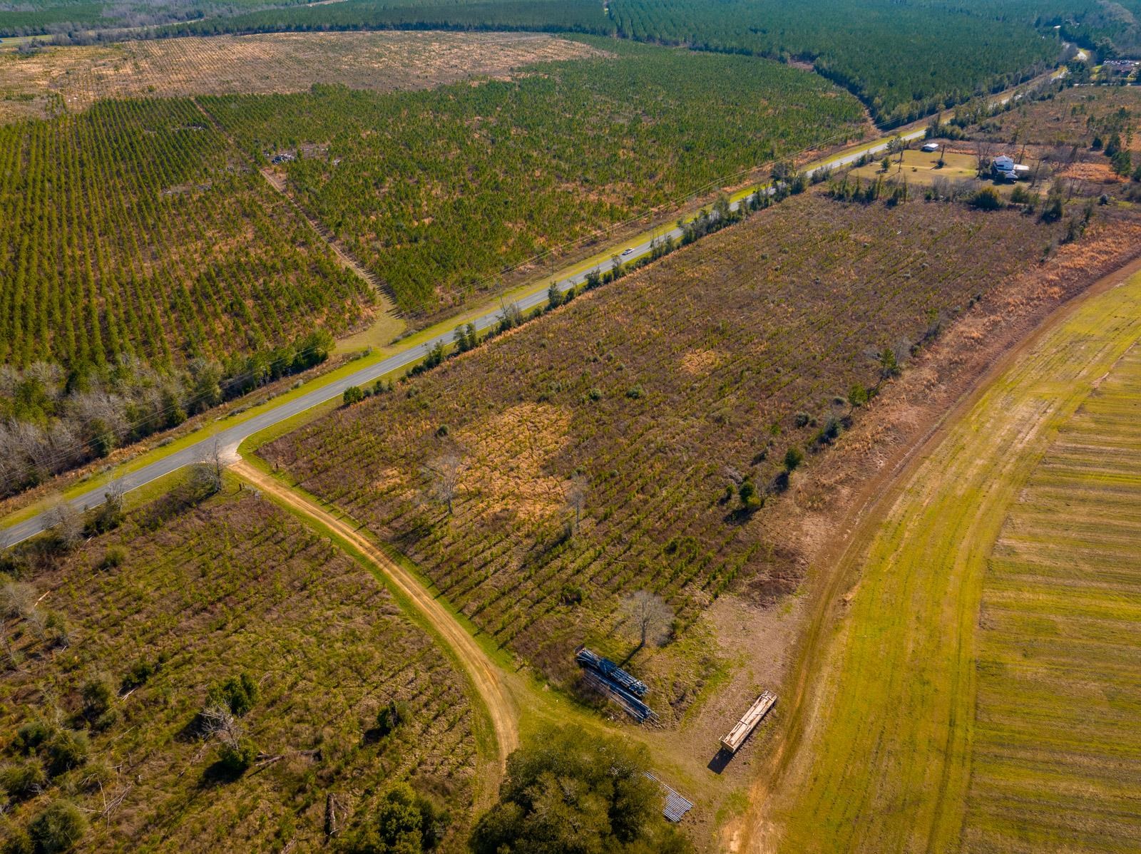 XXXX Rocky Creek Road, Marianna, Florida image 13