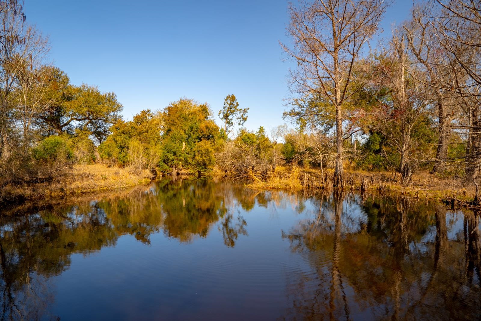 XXXX Rocky Creek Road, Marianna, Florida image 3