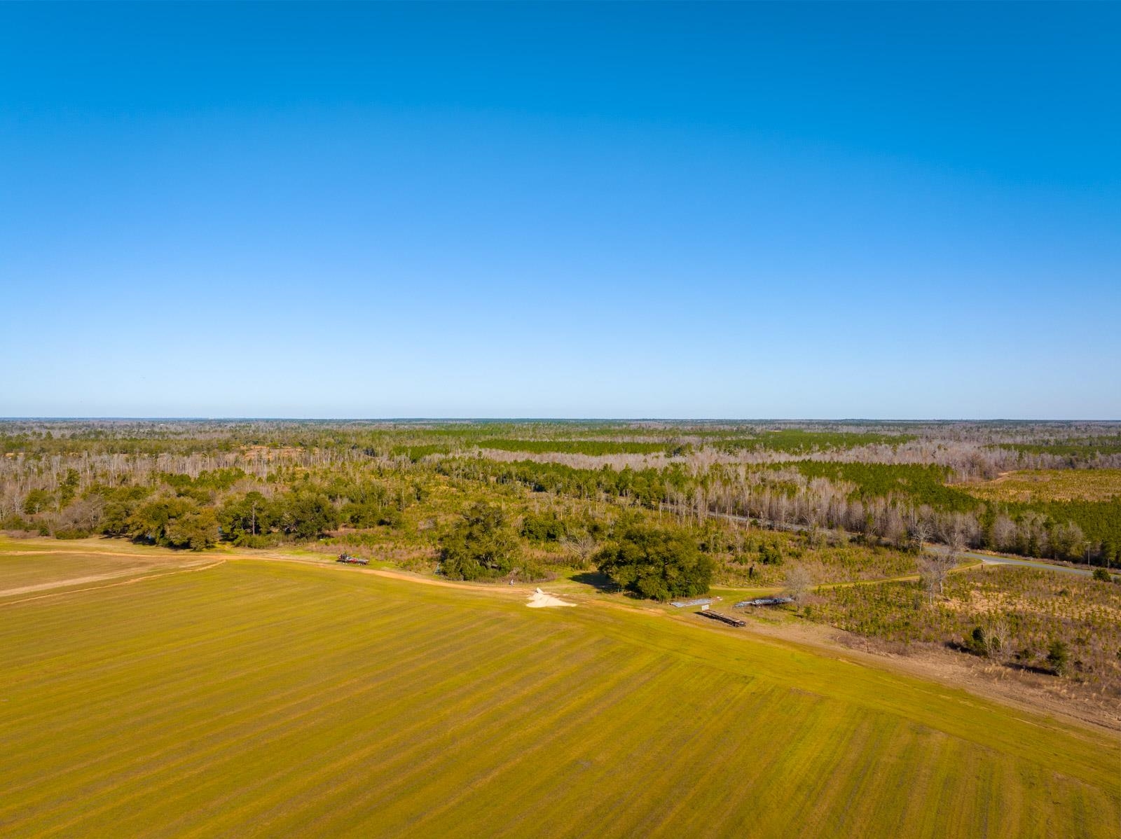 XXXX Rocky Creek Road, Marianna, Florida image 4