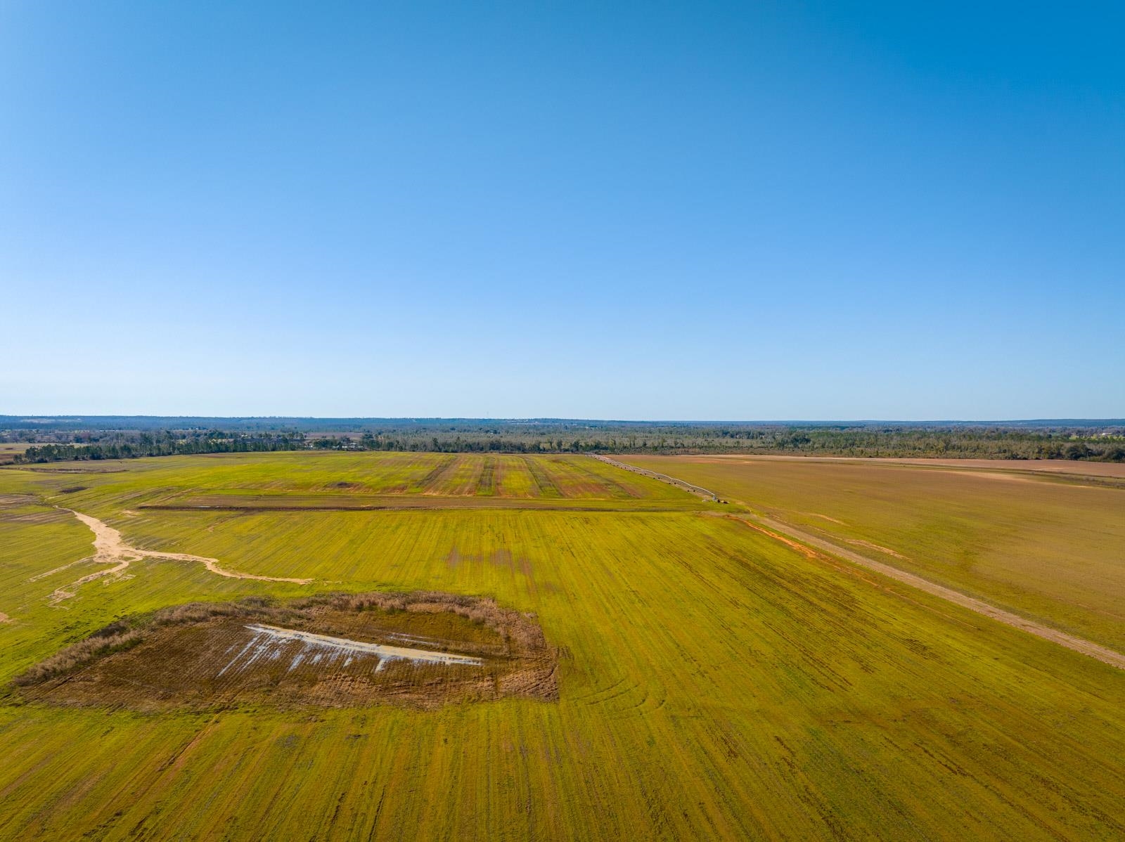 XXXX Rocky Creek Road, Marianna, Florida image 5