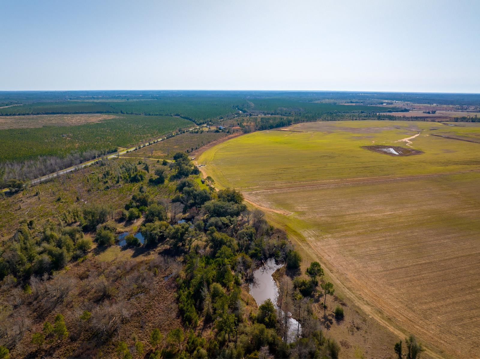 XXXX Rocky Creek Road, Marianna, Florida image 6